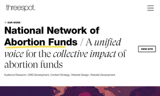Preview of the National Network of Abortion Funds (nnaf) Case Study