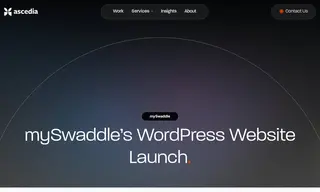 Preview of the mySwaddle Case Study