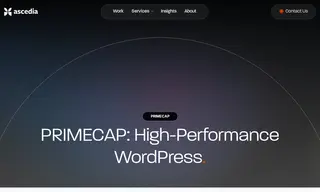 Preview of the Primecap Case Study