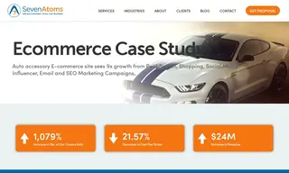 Preview of the SealSkinCovers.com Case Study