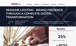 Preview of the Remains Lighting Case Study