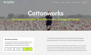 Preview of the CottonWorks Case Study