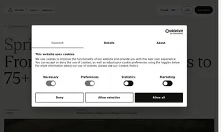 Preview of the Spring Health Case Study