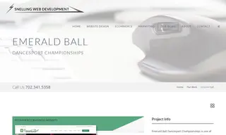Preview of the Emerald Ball, LLC Case Study
