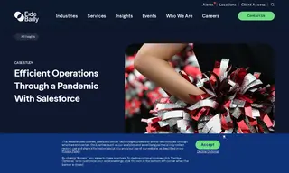 Preview of the Cheerleading Company Case Study