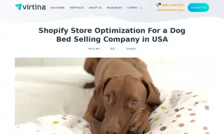 Preview of the Dog Bed Selling Company in Philadelphia, USA Case Study