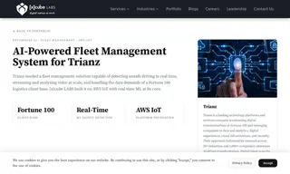 Preview of the Trianz Case Study