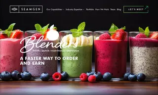 Preview of the Blenders Case Study