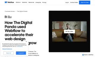 Preview of the The Digital Panda Case Study