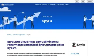 Preview of the Spyfu Case Study