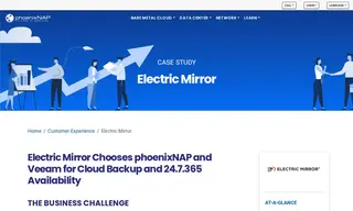 Preview of the Electric Mirror, LLC Case Study