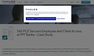 Preview of the PPF Banka Case Study