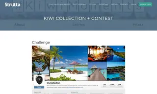 Preview of the Kiwi Collection Case Study