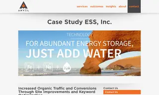 Preview of the ESS, Inc Case Study