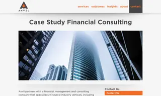 Preview of the Financial Management and Consulting Company Case Study