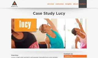 Preview of the Lucy Case Study