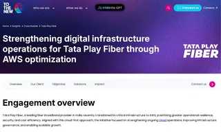 Preview of the Tata Play Fiber Case Study