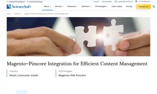 Preview of the Client Case Study