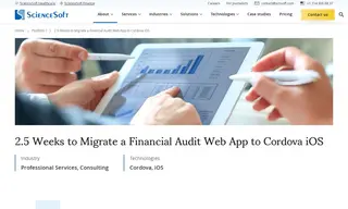 Preview of the The Client Case Study