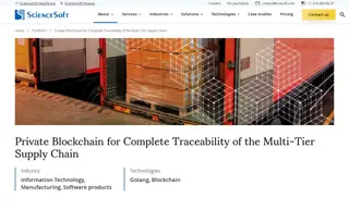 Preview of the US-based Software Product Company Case Study