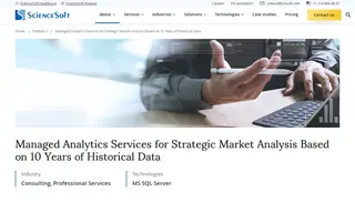 Preview of the US Management Consultancy Case Study