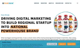 Preview of the Bai Case Study