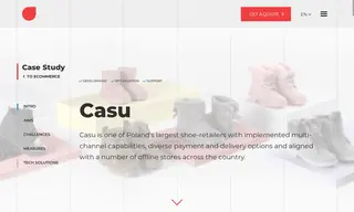 Preview of the CASU Case Study