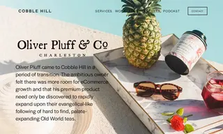 Preview of the Oliver Pluff Case Study