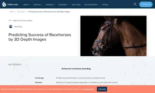 Preview of the Horse Breeding Farms Case Study