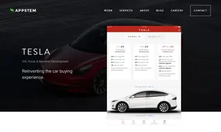 Preview of the Tesla Motors Case Study
