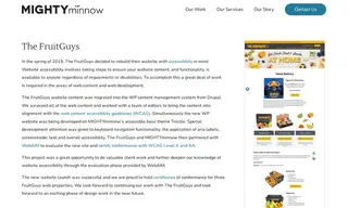 Preview of the The FruitGuys Case Study