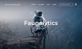 Preview of the Faunalytics Case Study