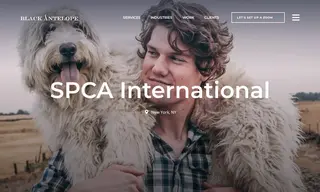 Preview of the SPCA International Case Study