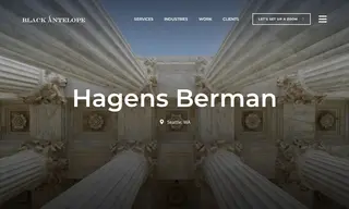 Preview of the Hagens Berman Case Study