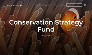 Preview of the Conservation Strategy Fund Case Study