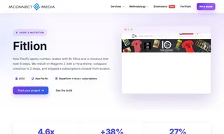 Preview of the Fitlion Case Study