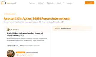 Preview of the MGM Resorts International Case Study