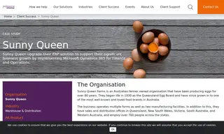 Preview of the Sunny Queen Case Study