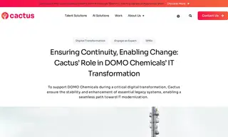 Preview of the Domo Chemicals Case Study