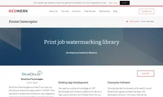 Preview of the BlueCloud Technologies Case Study
