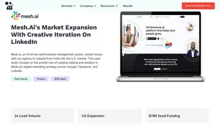 Preview of the Mesh.ai Case Study
