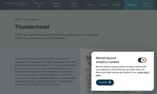 Preview of the Thunderhead Case Study