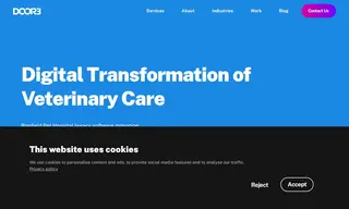 Preview of the Banfield Pet Hospital Case Study
