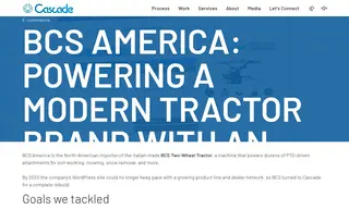 Preview of the BCS America Case Study