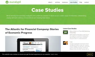 Preview of the Fortune 100 Financial Company Case Study