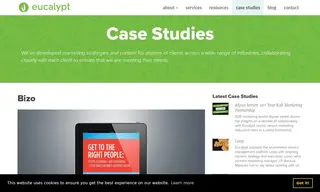 Preview of the Bizo Case Study
