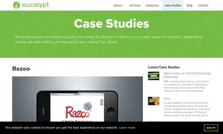 Preview of the Razoo Case Study