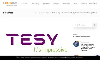 Preview of the TESY Ltd Case Study