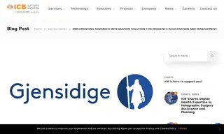 Preview of the Gjensidige Case Study