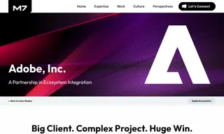 Preview of the Adobe, Inc Case Study